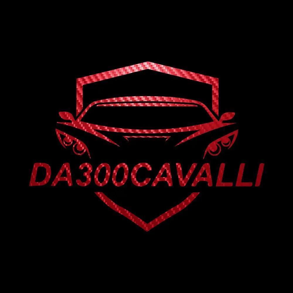 adesivo-logo-grande-20-14-52cm-da300cavalli-15 - Da300Cavalli